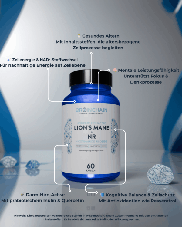 Brainchain™ | Lion's Mane +NR – Bild 2