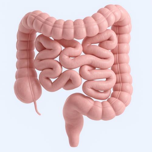 66516974-C13C-4F28-AADD-4238138323F0